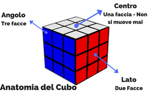Anatomia del cubo